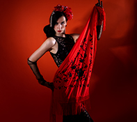 Flamenco Dansen Hoorn